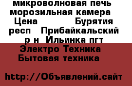 микроволновая печь, морозильная камера › Цена ­ 3 000 - Бурятия респ., Прибайкальский р-н, Ильинка пгт Электро-Техника » Бытовая техника   